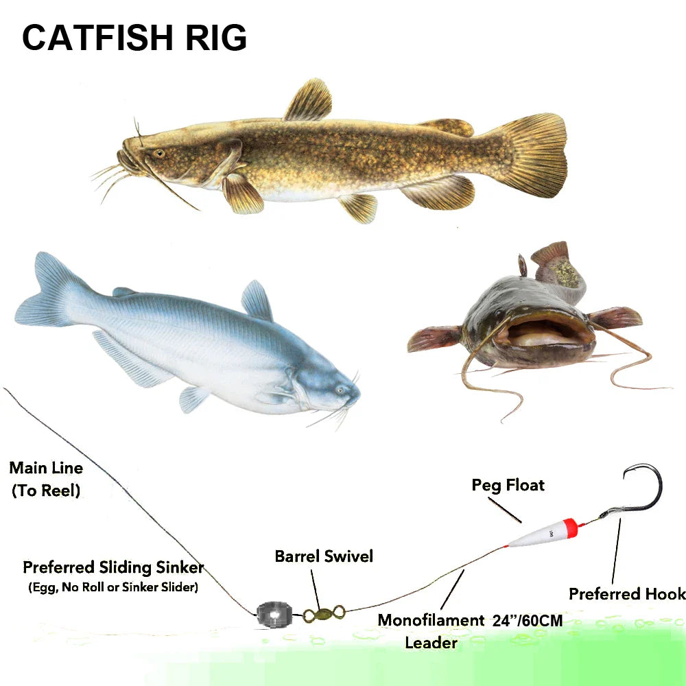 Catfishing-Tackle The Clovii's Extravaganza!!!